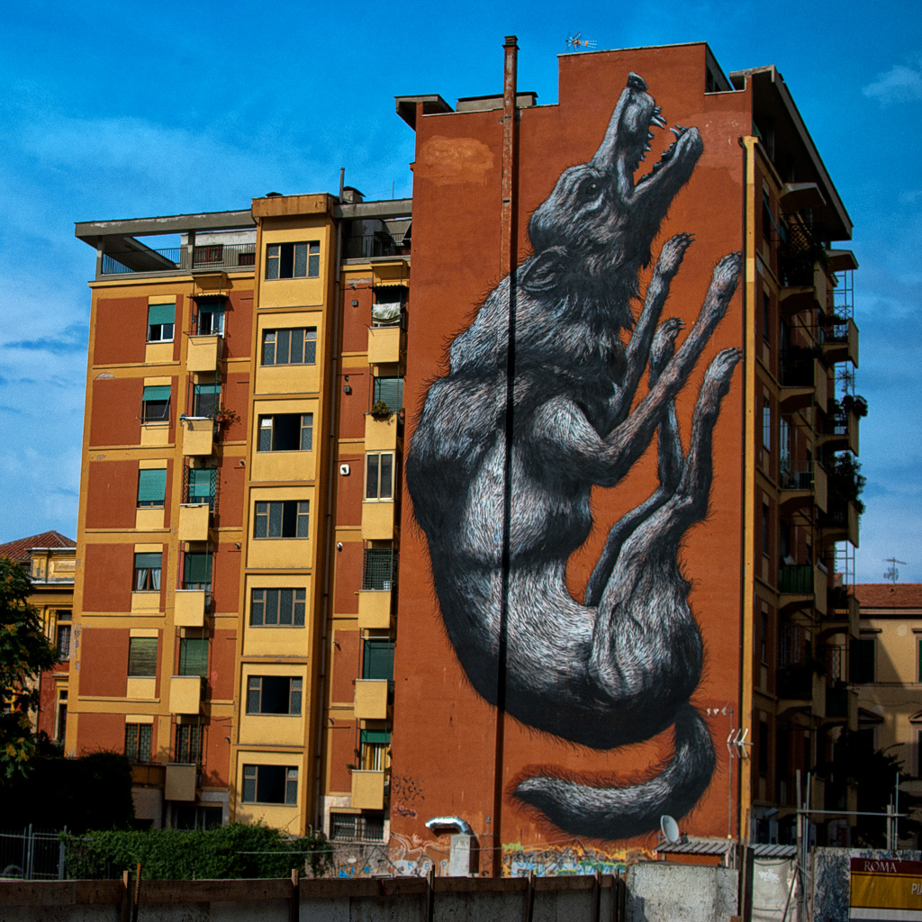 La street art di ROA a Roma