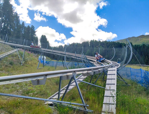 Family Bob a Cima Piazzi: una giornata di divertimento in montagna